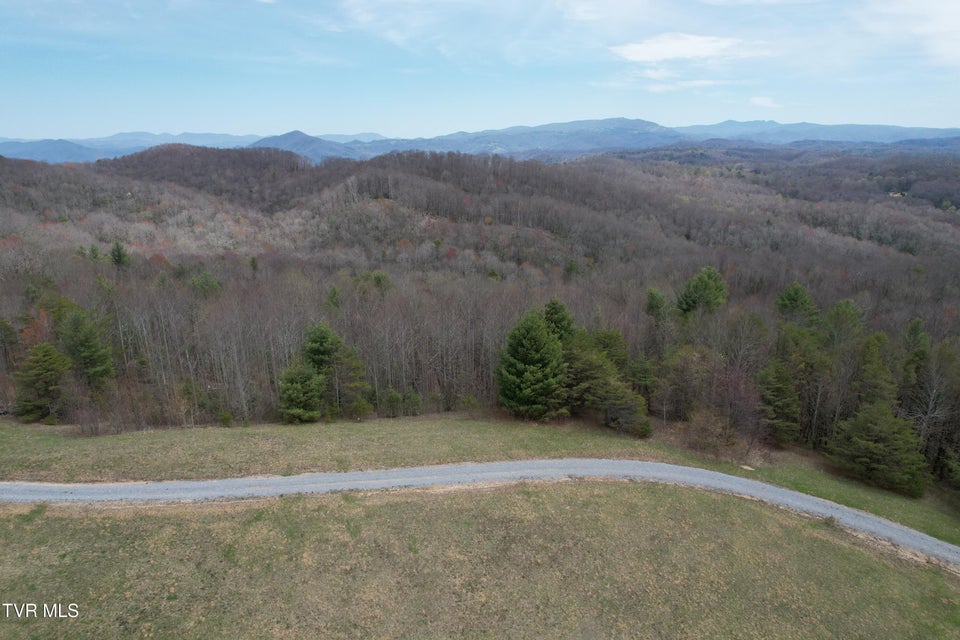 Photo #14: Lot 9 Dennis Cove/Walnut Mountain Road