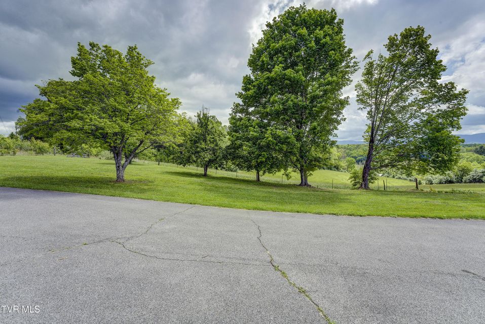 Photo #12: 319 Hickory Tree Road