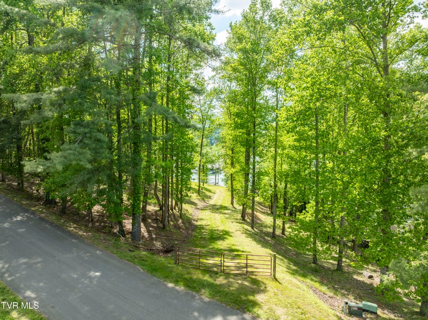 Photo #30: Tbd Big Oak Drive