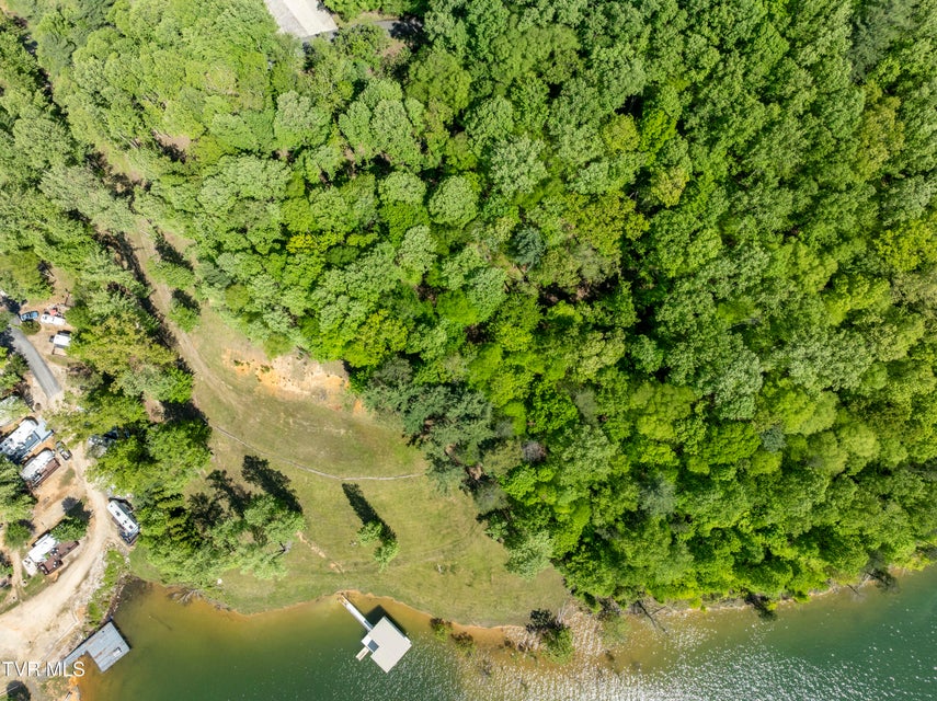 Photo #33: Tbd Big Oak Drive