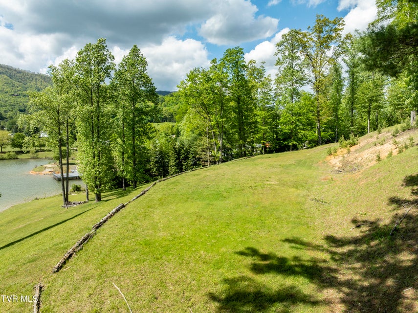 Photo #17: Tbd Big Oak Drive
