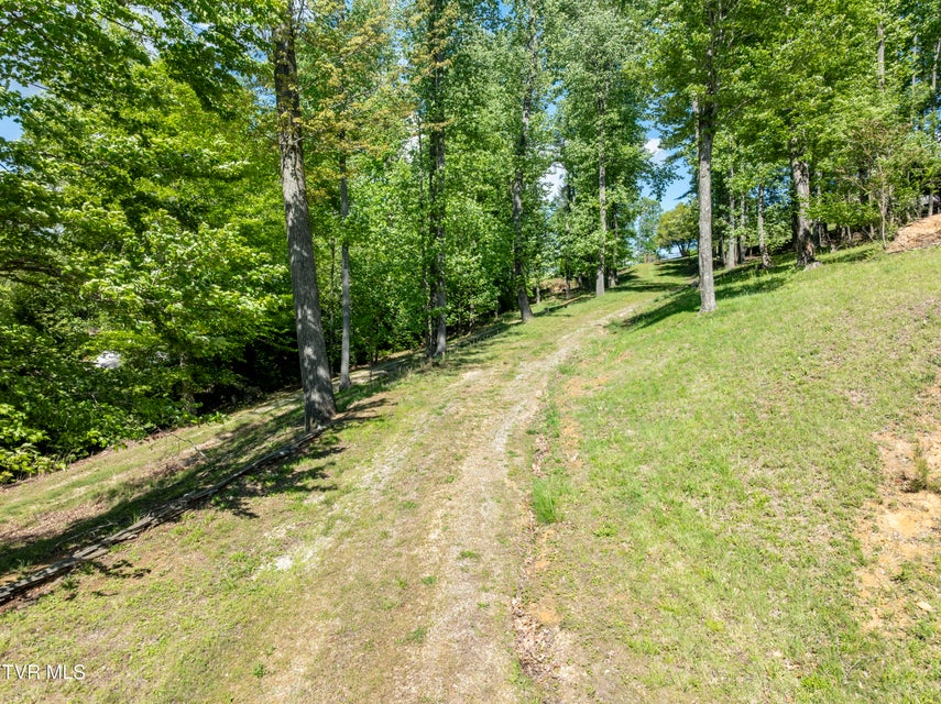 Photo #28: Tbd Big Oak Drive