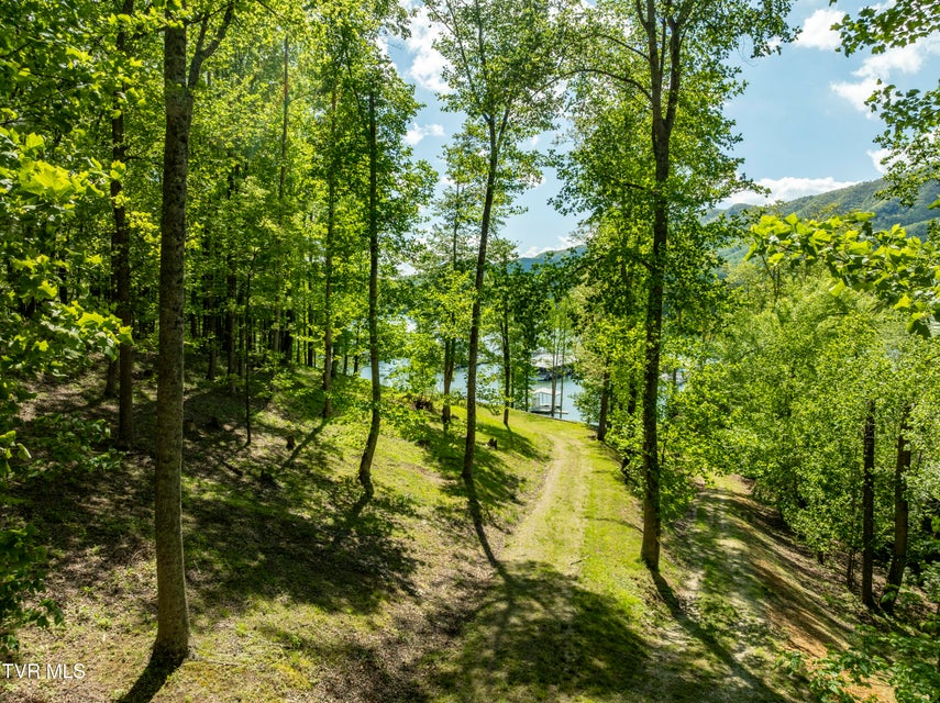 Photo #27: Tbd Big Oak Drive
