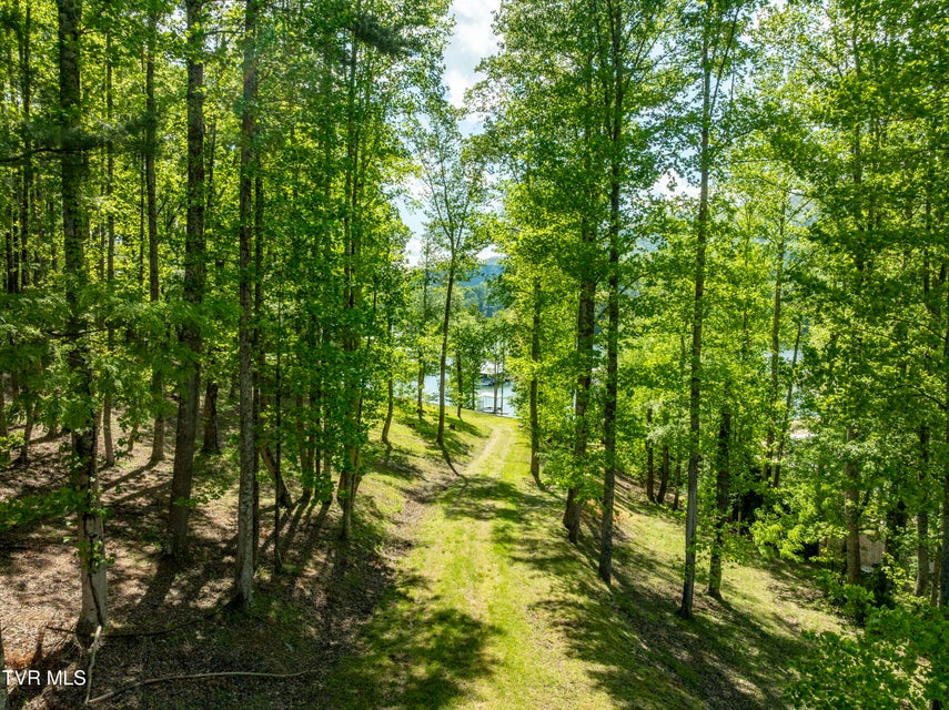Photo #26: Tbd Big Oak Drive