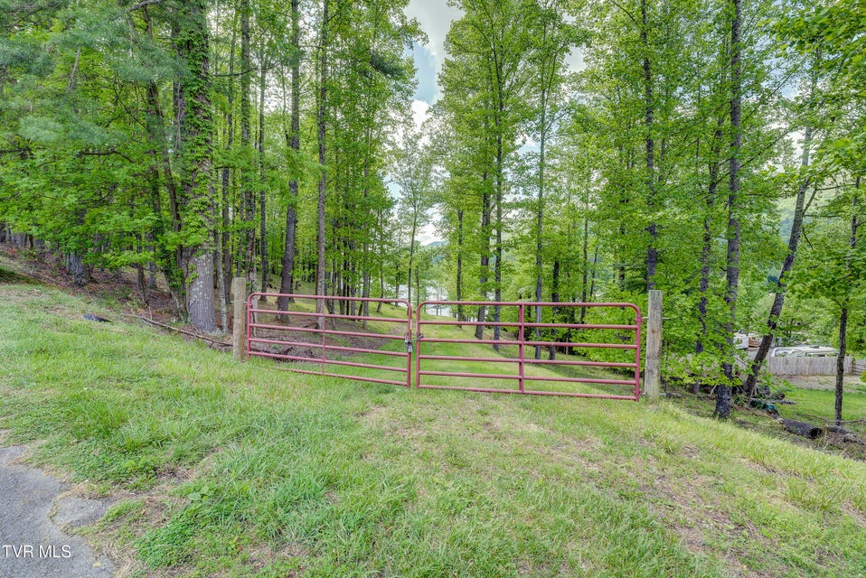 Photo #29: Tbd Big Oak Drive