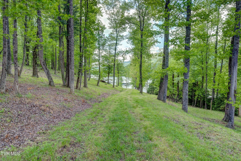 Photo #22: Tbd Big Oak Drive