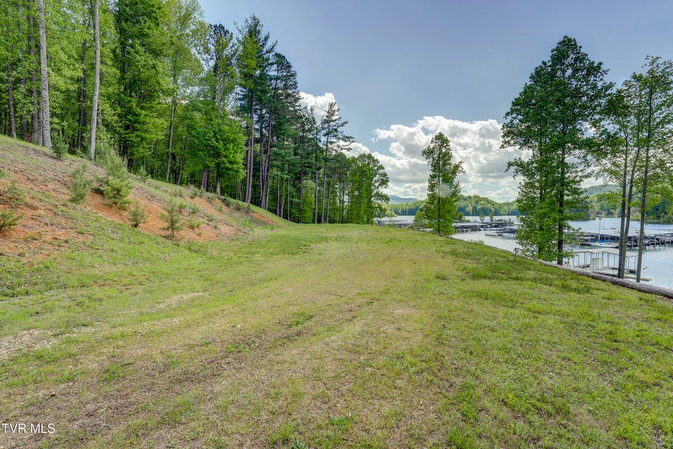 Photo #20: Tbd Big Oak Drive
