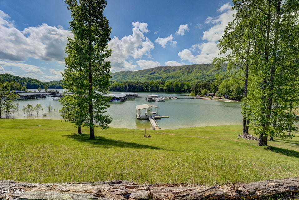 Photo #7: Tbd Big Oak Drive