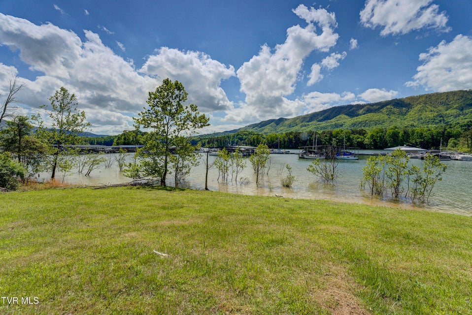 Photo #11: Tbd Big Oak Drive