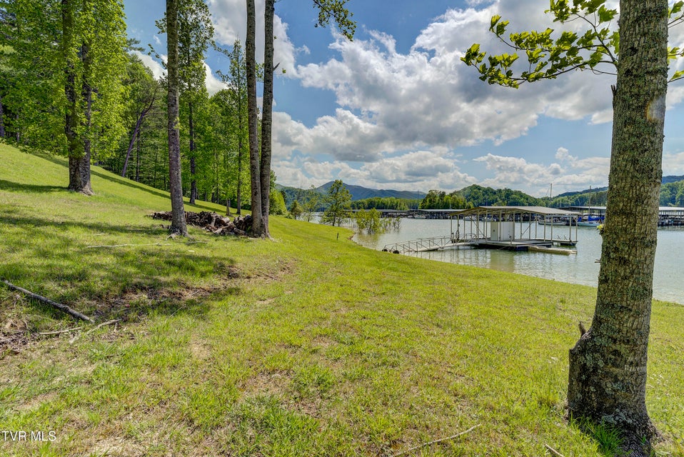 Photo #10: Tbd Big Oak Drive