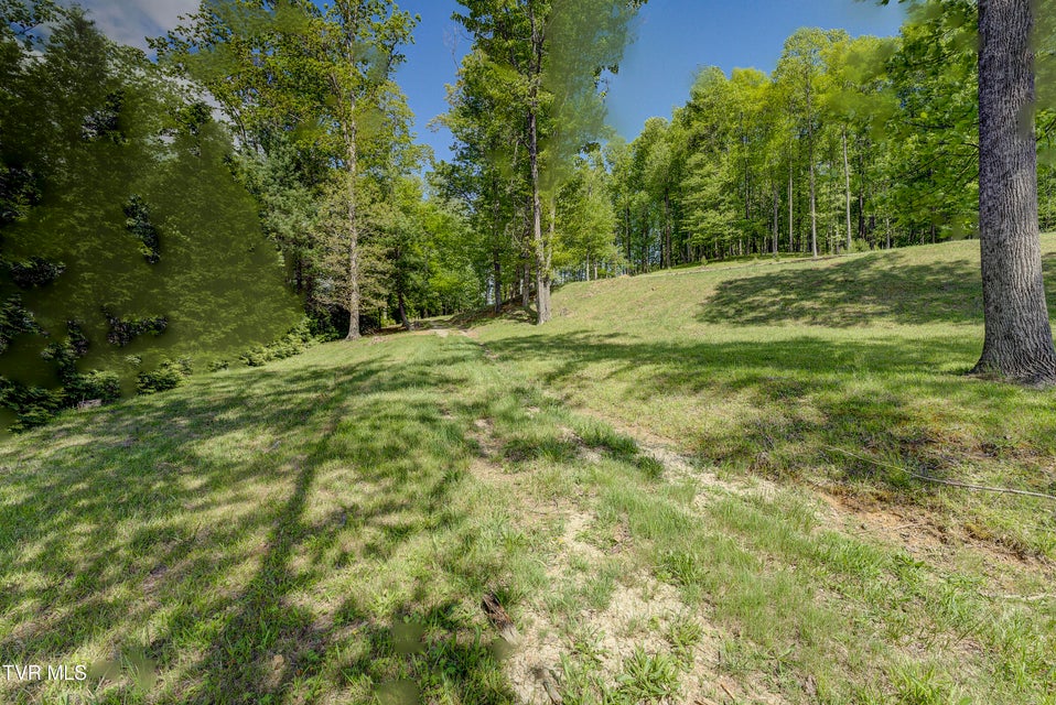 Photo #23: Tbd Big Oak Drive