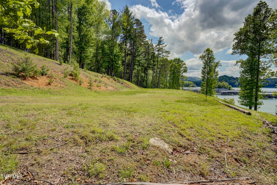 Photo #21: Tbd Big Oak Drive