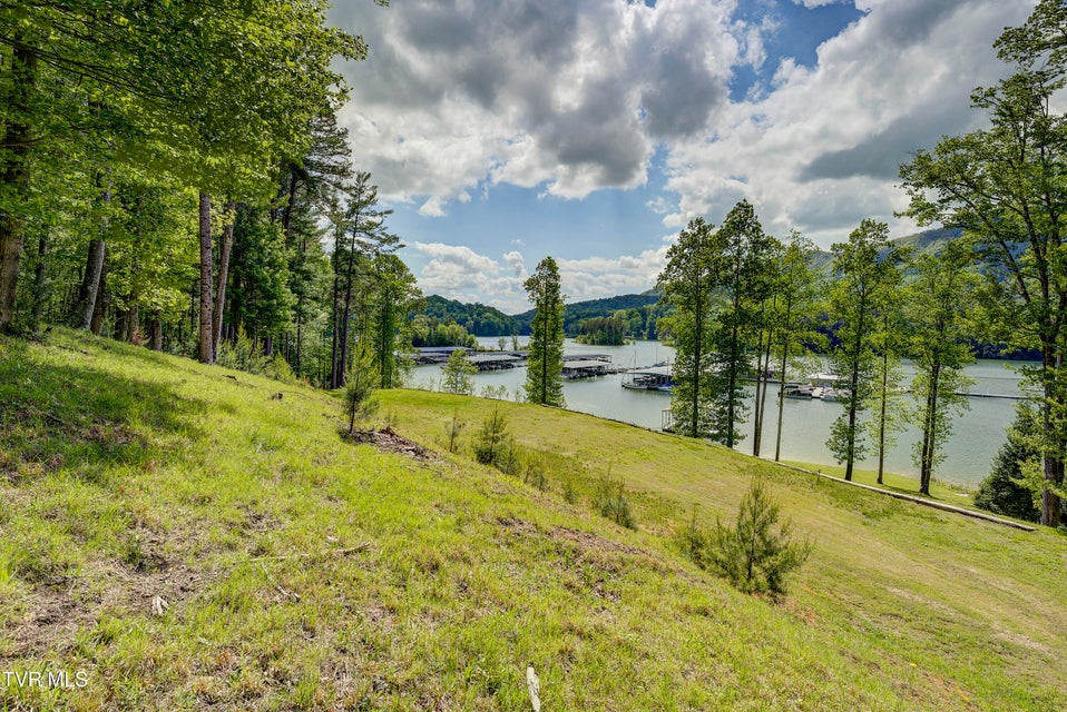 Photo #12: Tbd Big Oak Drive
