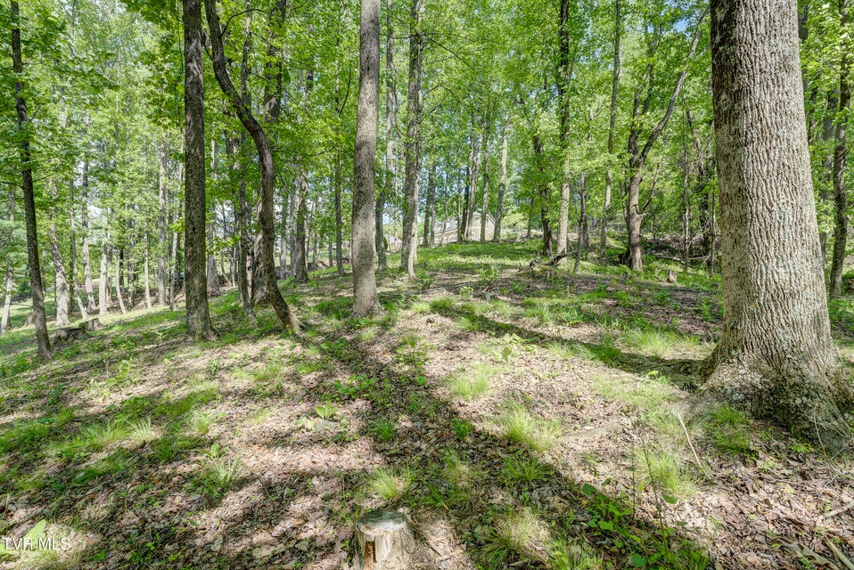 Photo #24: Tbd Big Oak Drive
