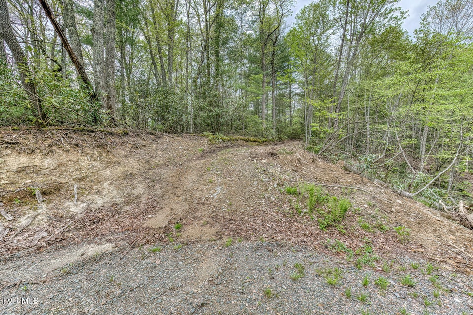 Photo #39: 584 Dotson Road