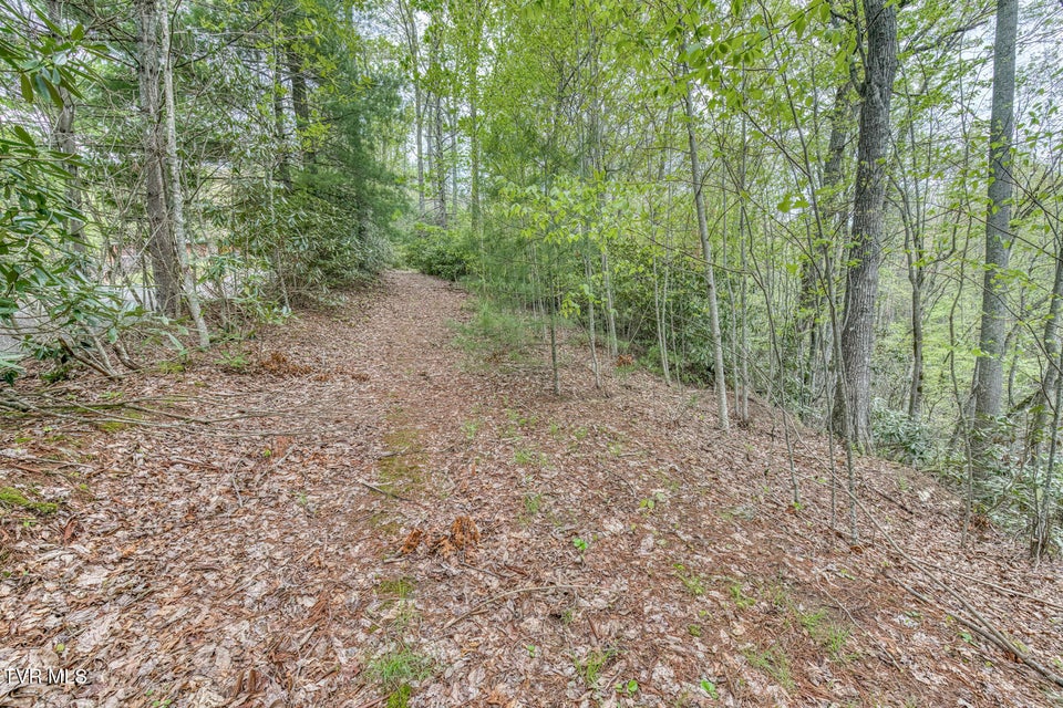 Photo #40: 584 Dotson Road