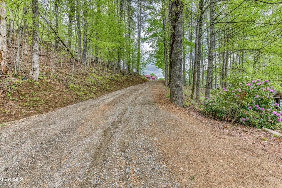 Photo #42: 584 Dotson Road