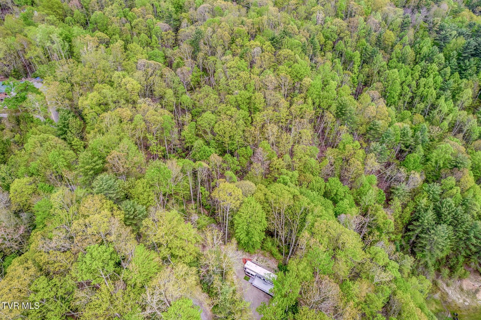 Photo #45: 584 Dotson Road