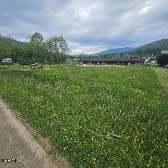 Photo #11: 5105 Highway 19e