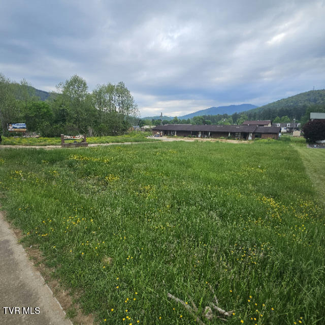 Photo #10: 5105 Highway 19e