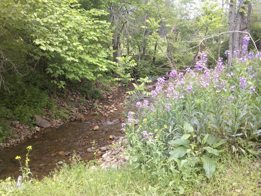 Photo #69: 1037 Swift Hollow Road