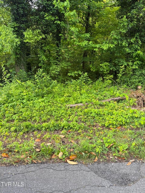 Photo #5: Lot 15 Ashley Street