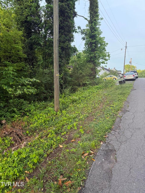 Photo #6: Lot 15 Ashley Street