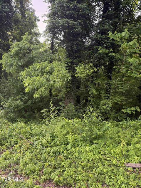 Photo #4: Lot 16 Ashley Street
