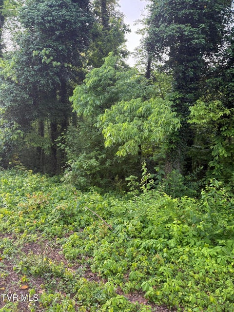 Photo #2: Lot 17 Ashley Street