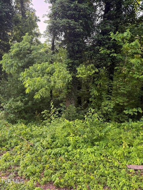 Photo #4: Lot 17 Ashley Street