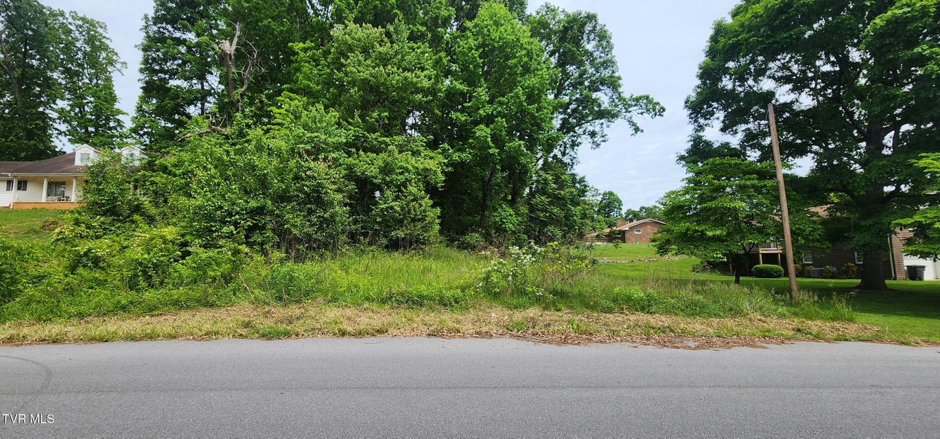 Photo #2: Tbd Willow Street