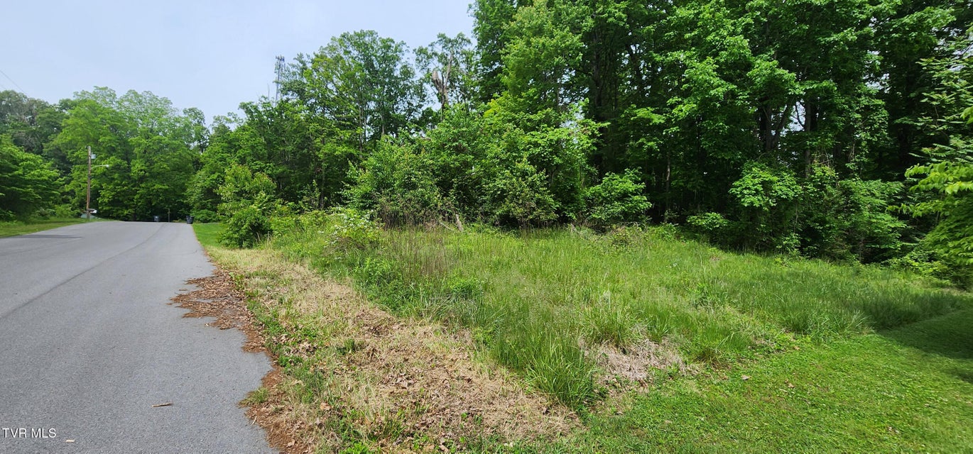 Photo #3: Tbd Willow Street