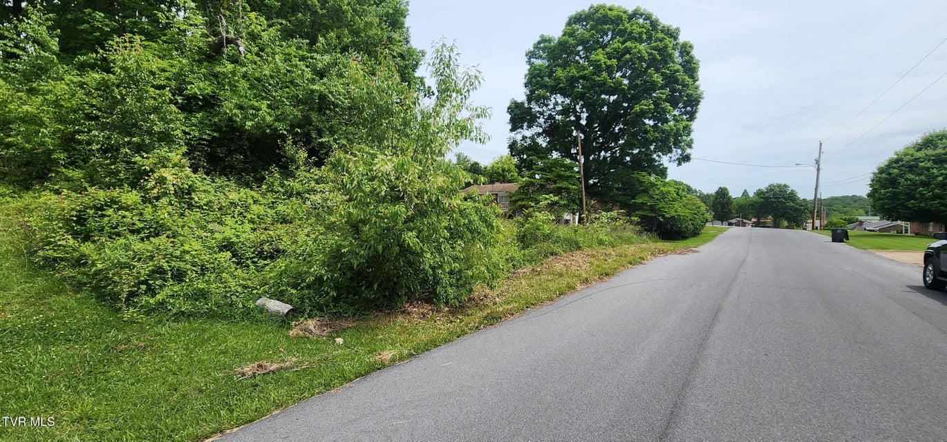 Photo #4: Tbd Willow Street