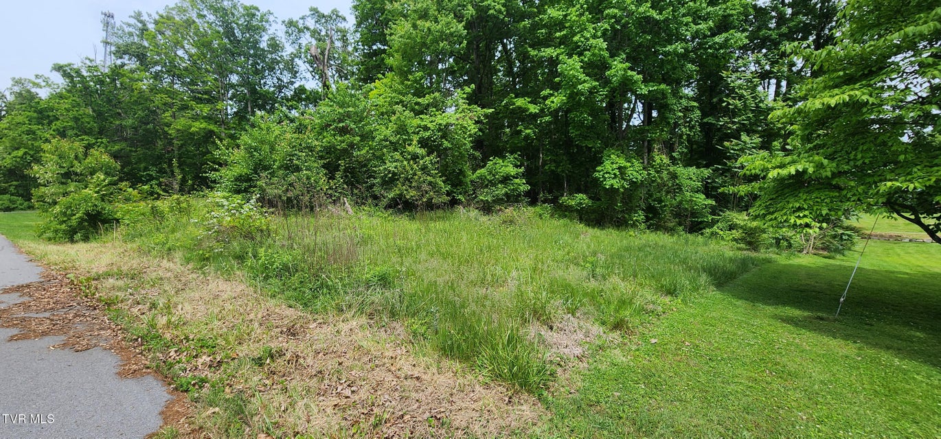 Photo #5: Tbd Willow Street