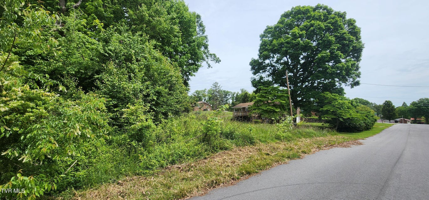 Photo #6: Tbd Willow Street