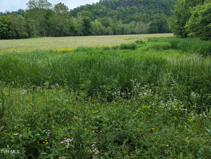 Photo #2: Tbd Clinch River Highway