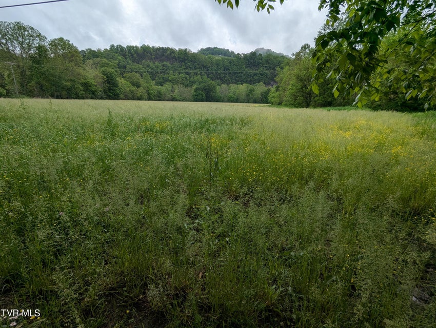 Photo #3: Tbd Clinch River Highway