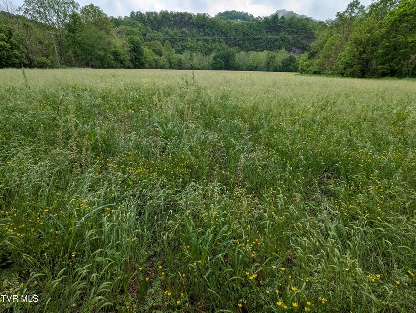 Photo #4: Tbd Clinch River Highway