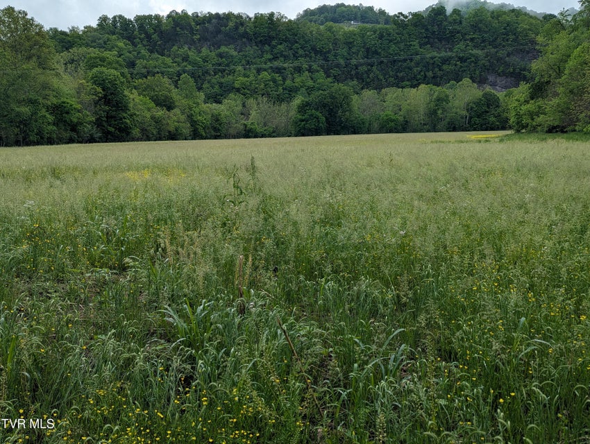 Photo #5: Tbd Clinch River Highway