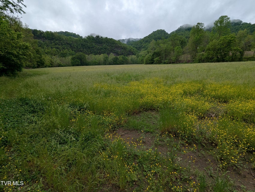 Photo #6: Tbd Clinch River Highway