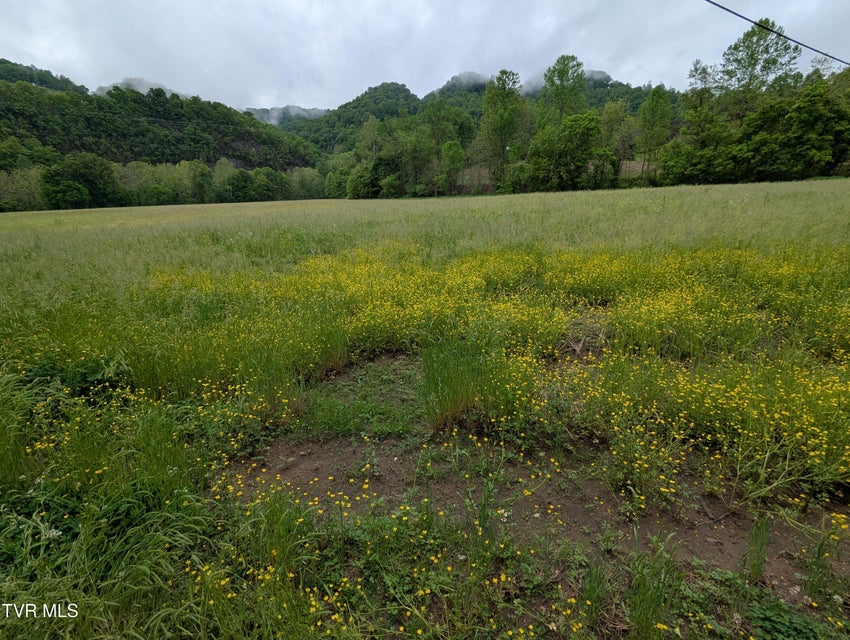 Photo #7: Tbd Clinch River Highway