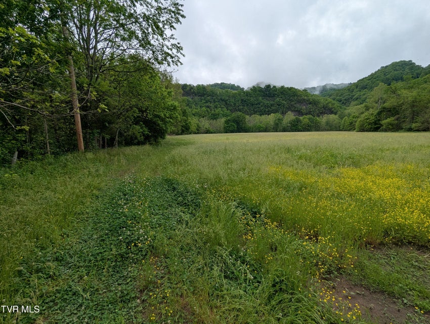 Photo #8: Tbd Clinch River Highway