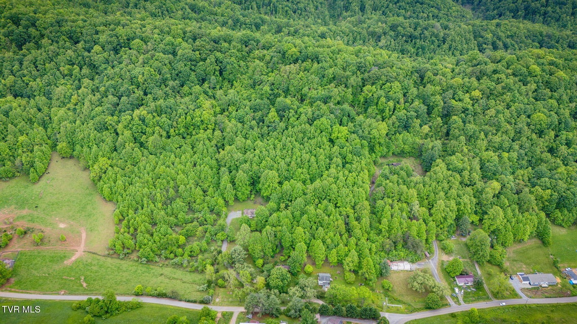 Photo #27: 118 Berry Hill Road