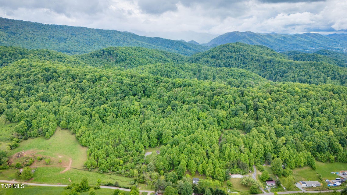 Photo #28: 118 Berry Hill Road