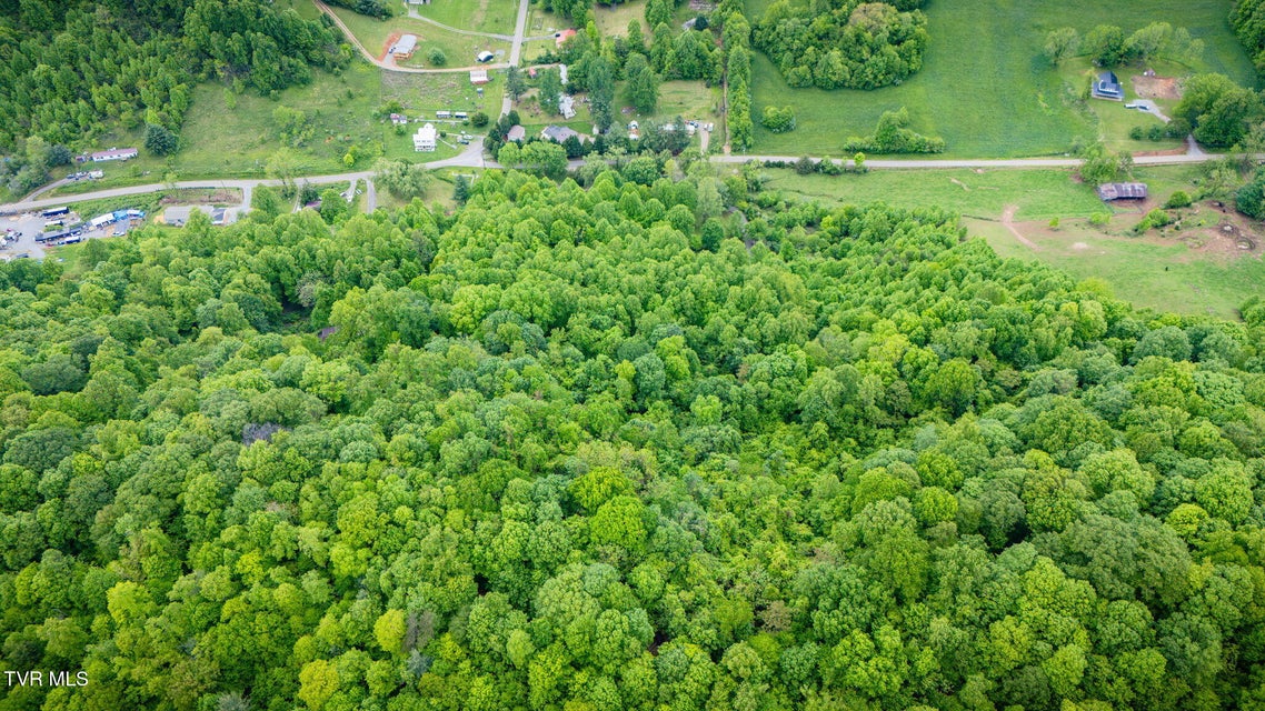 Photo #29: 118 Berry Hill Road
