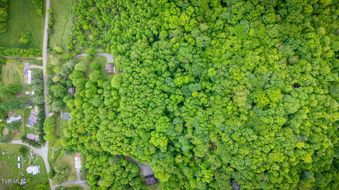 Photo #31: 118 Berry Hill Road