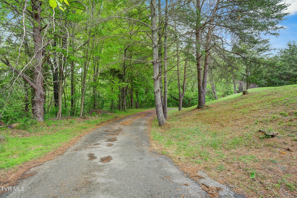 Photo #52: 505 Duel Lane