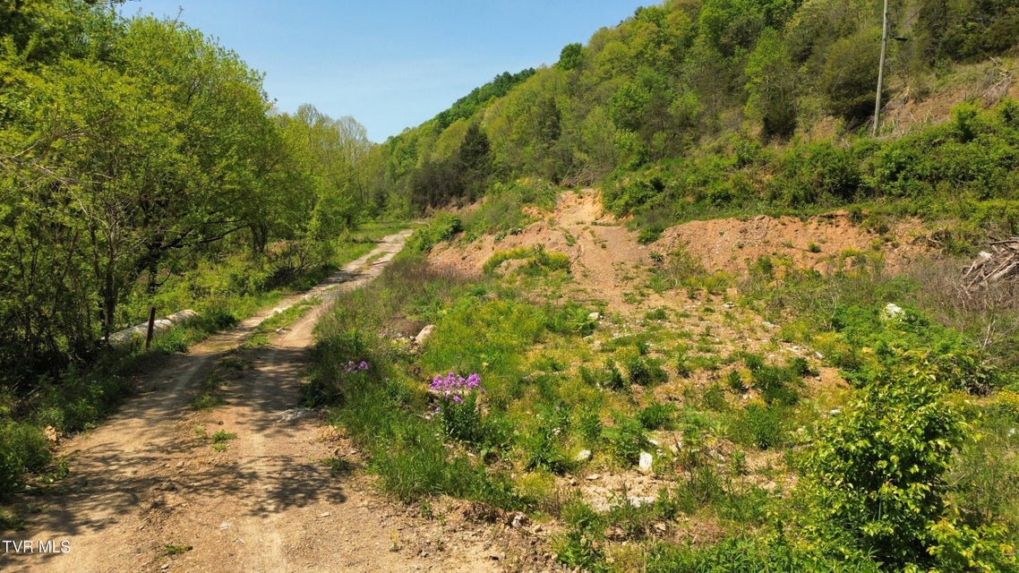 Photo #12: 235 Bear Hollow Road