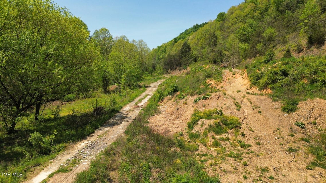 Photo #11: 235 Bear Hollow Road
