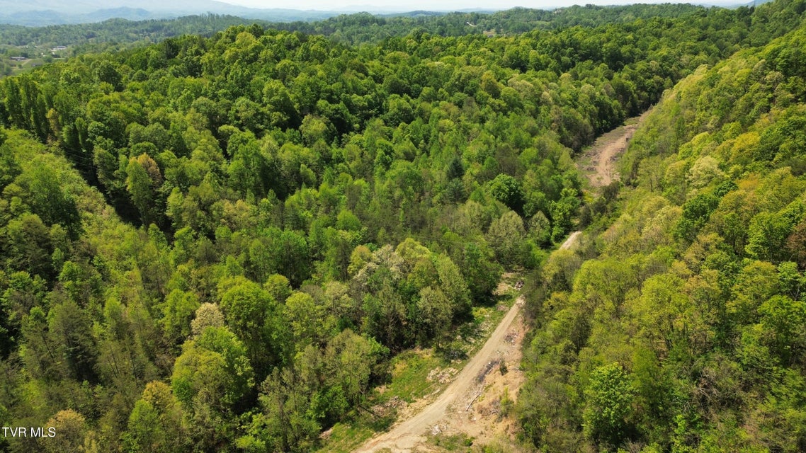 Photo #9: 235 Bear Hollow Road